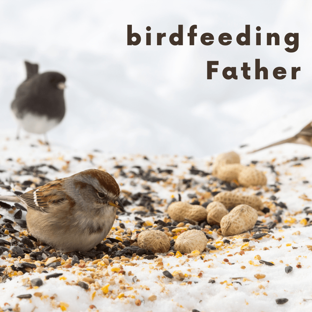 Birdfeeding Father - Church Skit