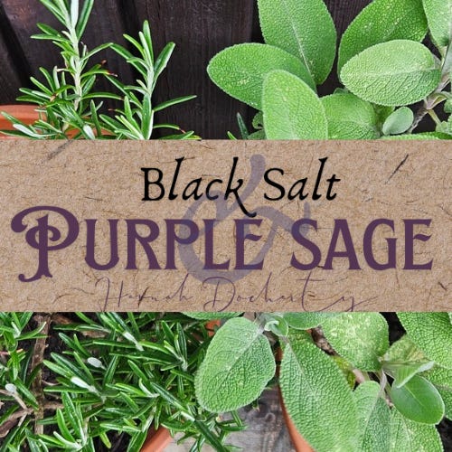 Black Salt & Purple Sage