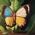 The Butterfly and the Cocoon