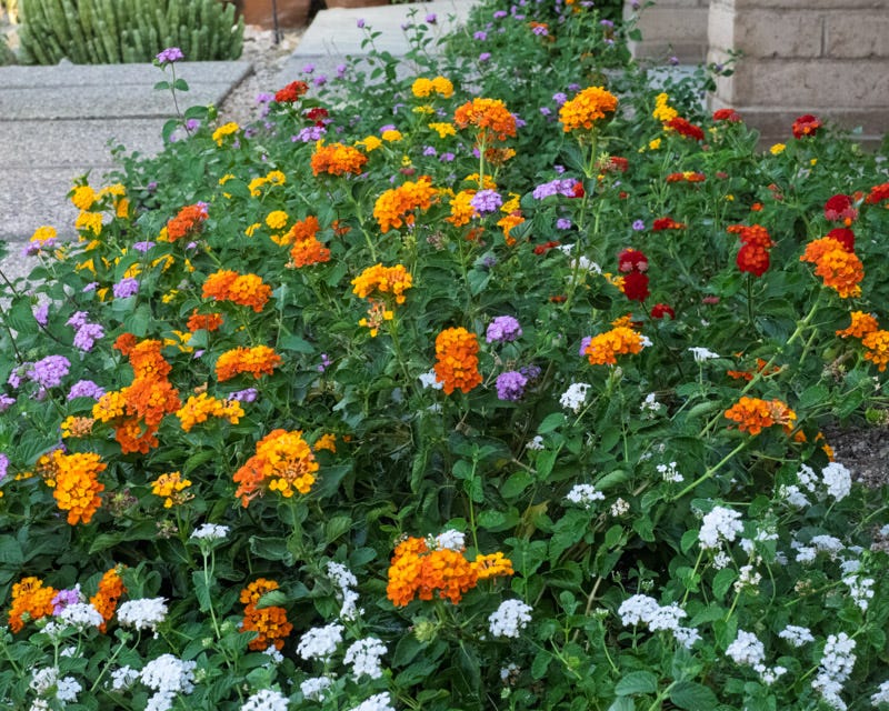 20251006-mby-34-Edit.jpg