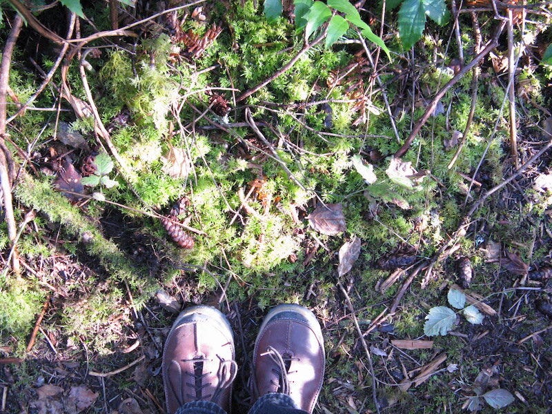 Tips of feet in rugged boots, on ground of moss and twigs and dappled sunlight