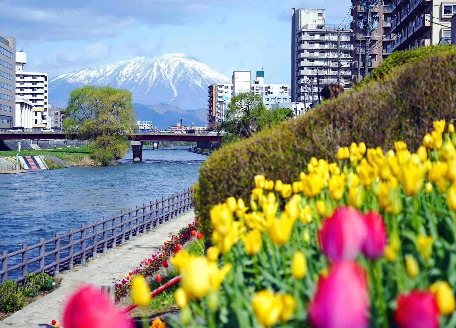 view of Morioka Japan river and mountains