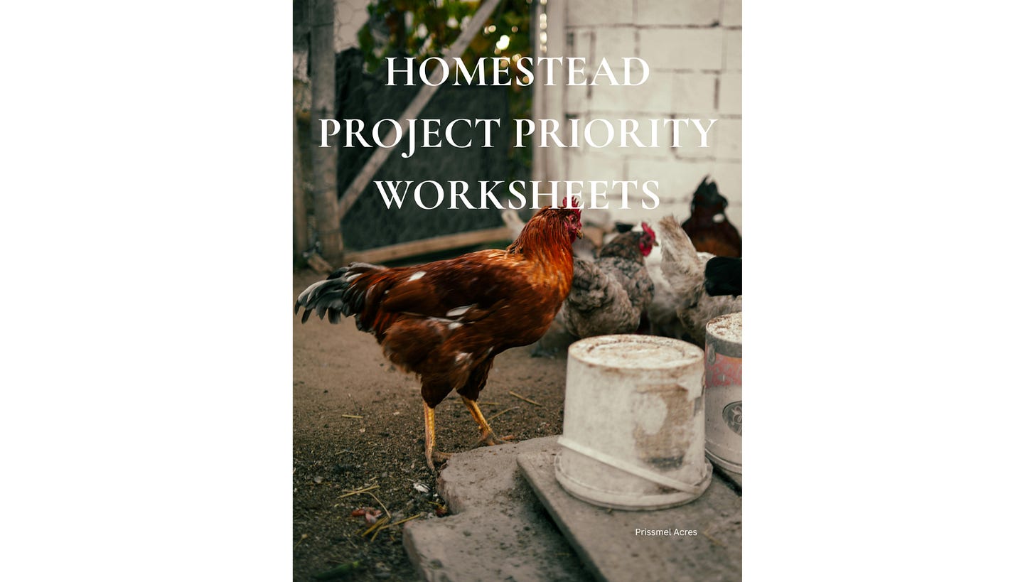 Homestead Project Priority Worksheet for organizing seasonal projects, budgeting, planning, and building a self-sufficient home.