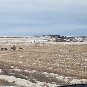 The victory of the people