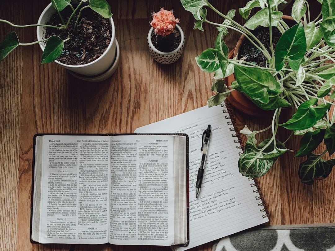 white book page beside green potted plant