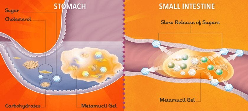 How Metamucil Works in Your Body | Metamucil