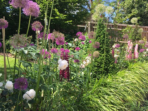 View of Cottage Garden planting