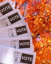 Fall'ing into Election Season 🍂 Can you be-leaf it's time to cast your vote?  📣 Exercise your #RightToVote and have a voice in your Town. H… | Instagram