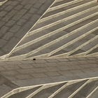 Build a Data Feedback Loop to Accelerate Growth