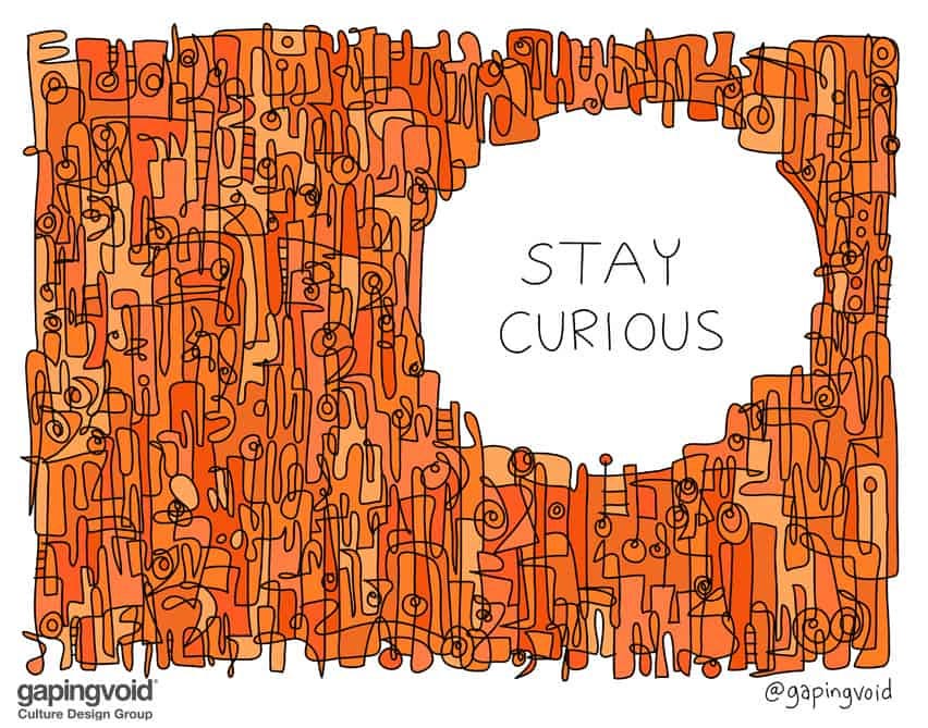 Curiosity Is as Important as Intelligence - Gapingvoid