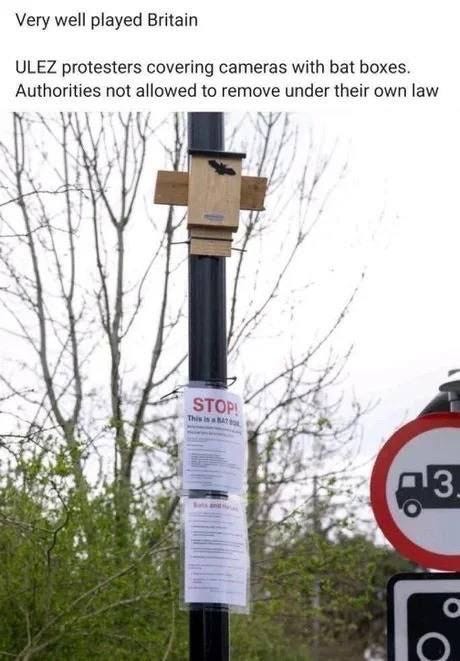 LastCall (@lastcall1)