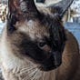 Lorri Ranslam's avatar