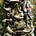 Debra Fitchen Cox's avatar