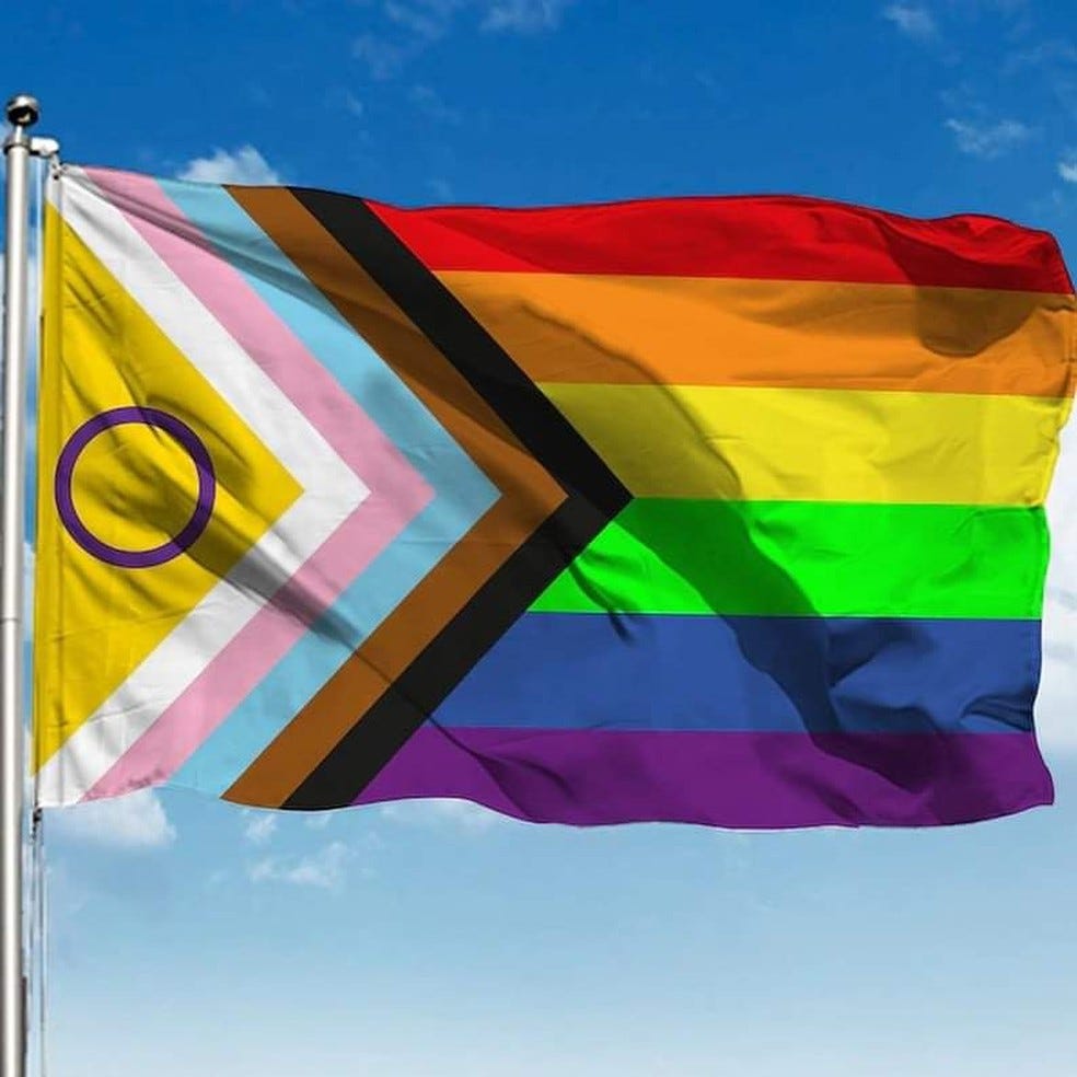 Nova Bandeira LGBTQIA+ é apresentada; entenda mudanças | Política &  Direitos | Glamour