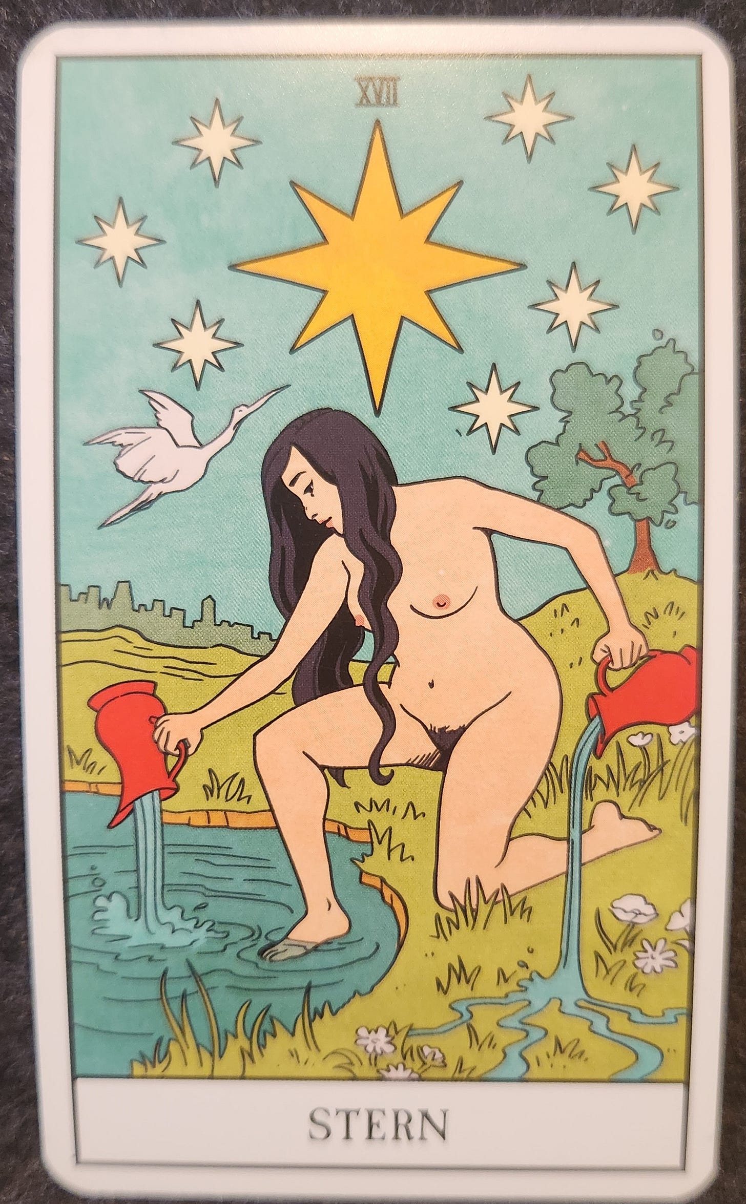 A tarot card labelled XVII Stern. A naked woman kneeling on a river bed. One leg is on the grassy bank of the river. The other foot is resting in the water. She is holding two red pitchers of water, dumping one onto the riverbank and one into the river. Above her is one large yellow start surrounded by seven smaller white stars. There is a white bird flying up towards the stars.