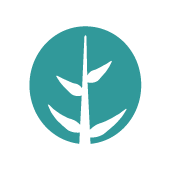 Las Cartas de La Ecocosmopolita