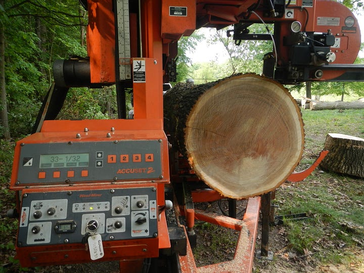 Huge Red Oak for milling on the Wood-Mizer