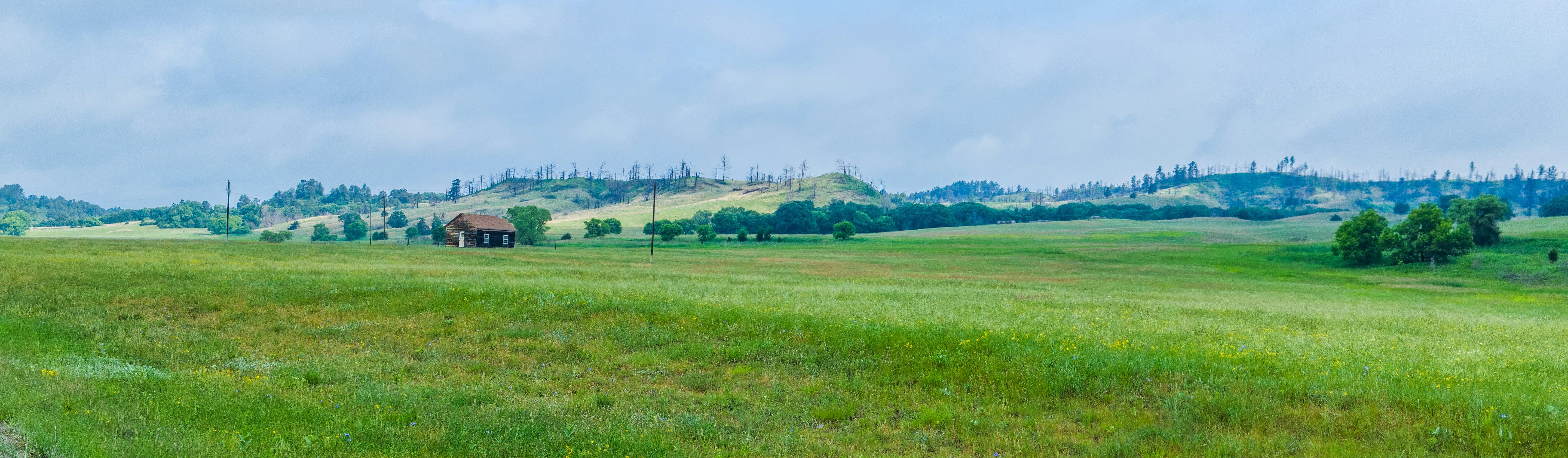 Wide open green pasture with rolling hills and a small farmhouse in the distance under a cloudy sky, representing reflection on farming, food origins, and land stewardship.