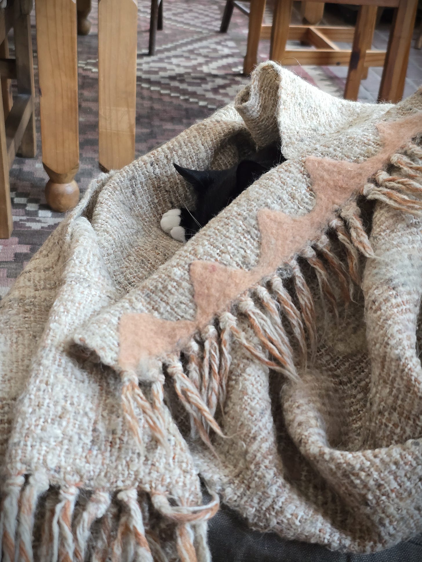 first felting experiment