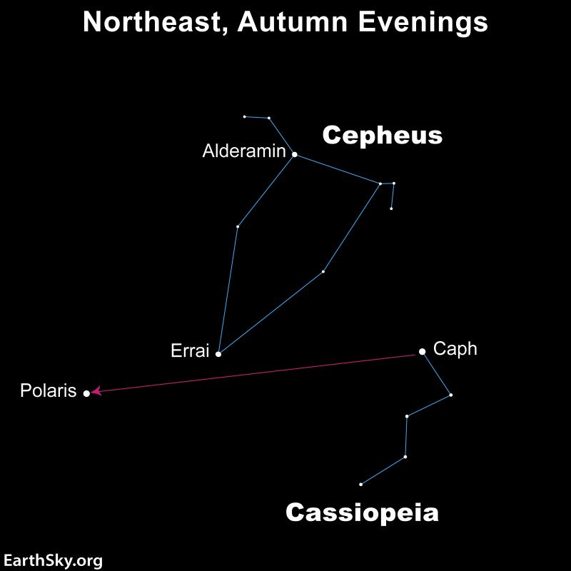 Star chart with Cepheus and nearby stars, with stars and constellations labeled.