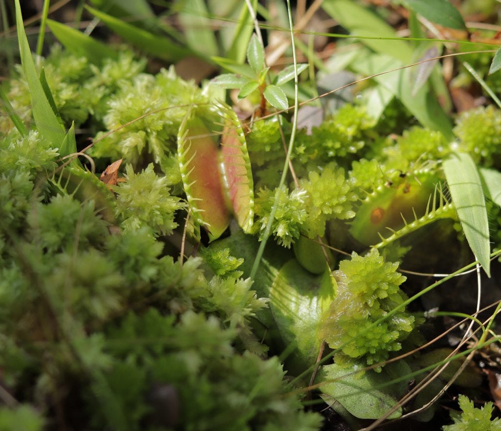 Mason River Field Station