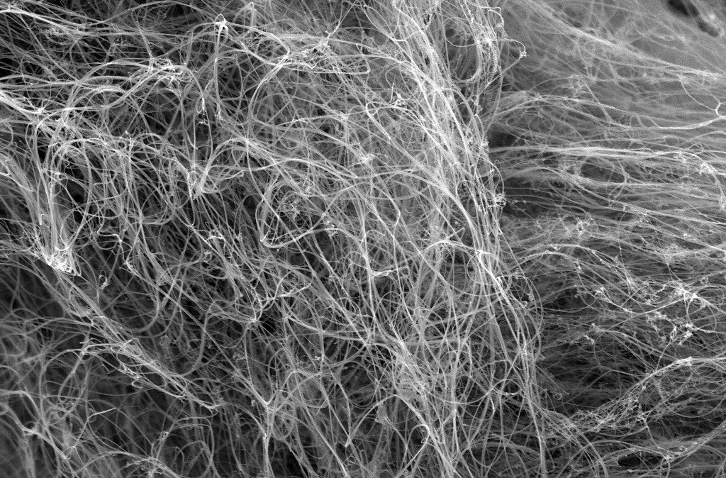 Nanotubi di carboni visti al microscopio a scansione elettronica. Credit: Christian Hoecker / Department of Engineering Cambridge / Flickr. Licenza: CC BY 2.0. Nanotubi di carboni visti al microscopio a scansione elettronica. Credit: Christian Hoecker / Department of Engineering Cambridge / Flickr. Licenza: CC BY 2.0.