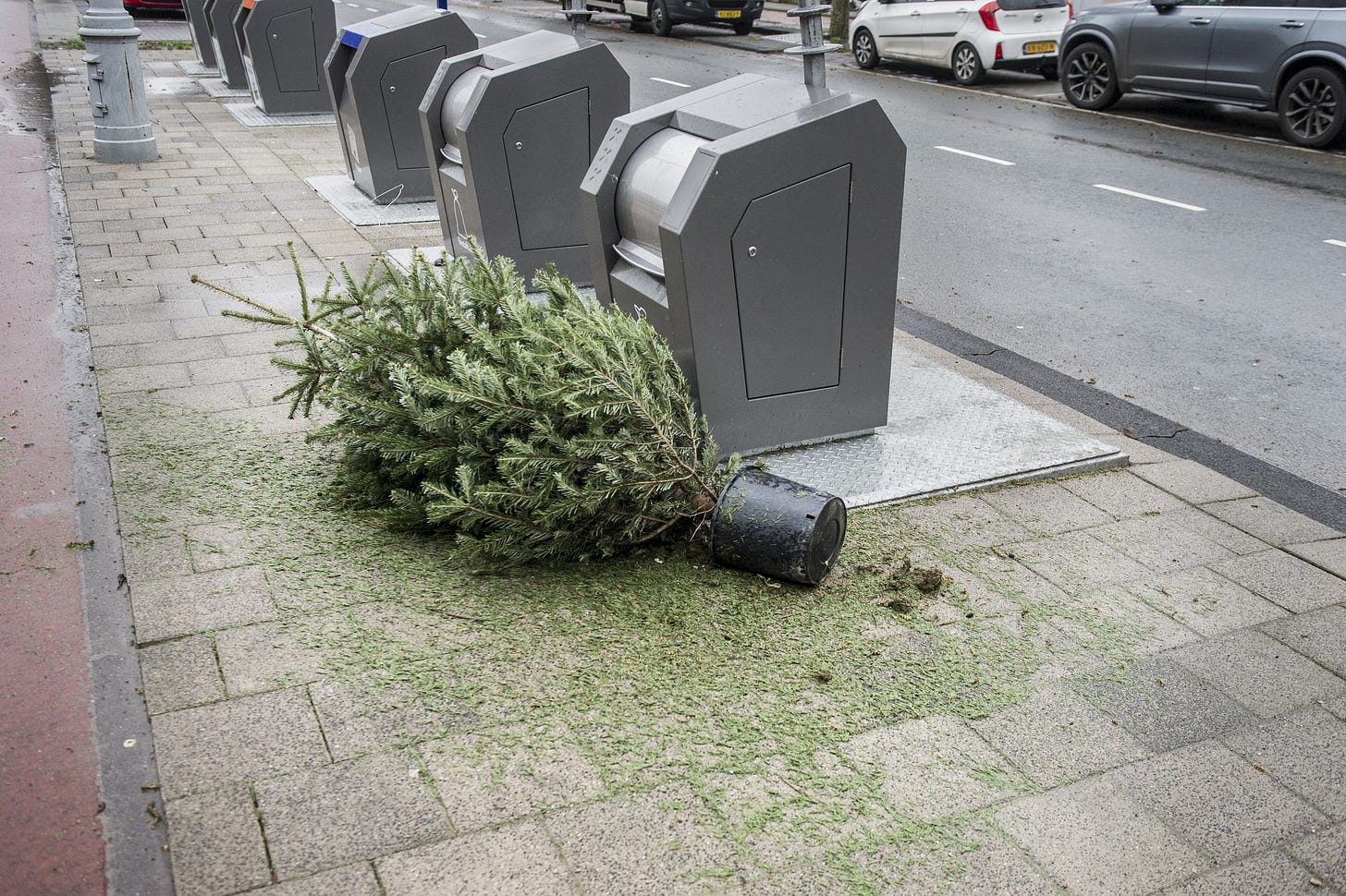 Kerstbomen met kluit moeten verboden worden | de Volkskrant Kerstbomen met kluit moeten verboden worden | de Volkskrant
