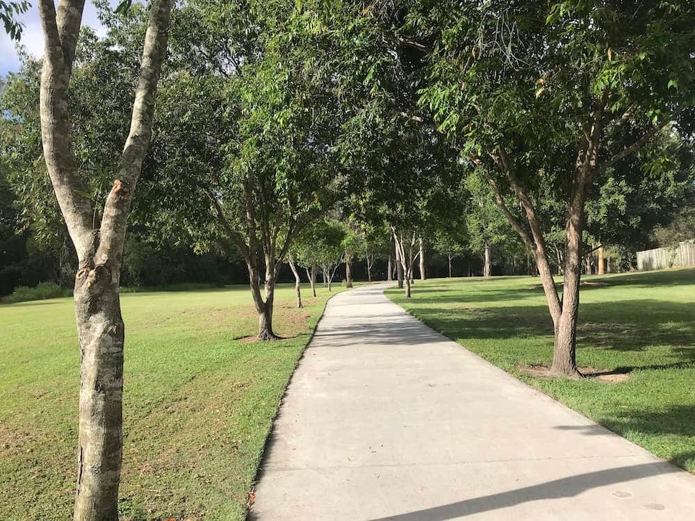 The pathway through my local park