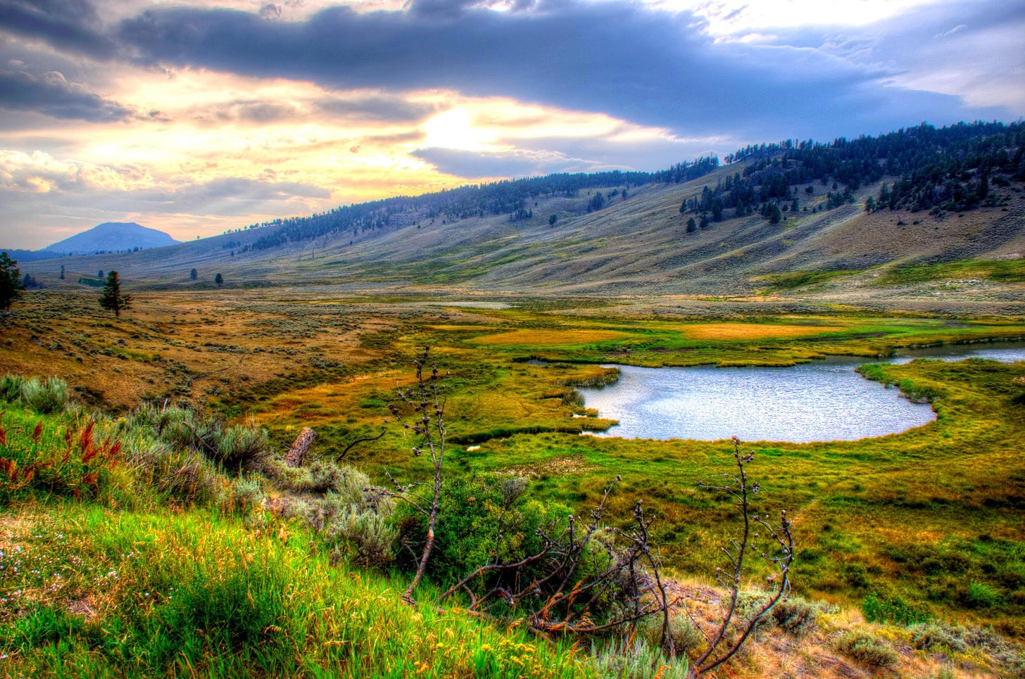 Yellowstone National Park HD Wallpapers - Wallpaper Cave