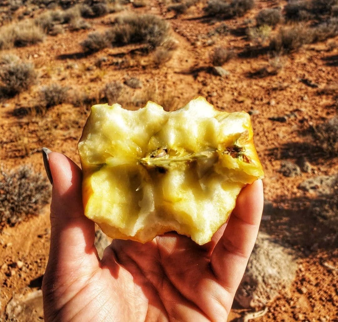 Apple core on trail litter
