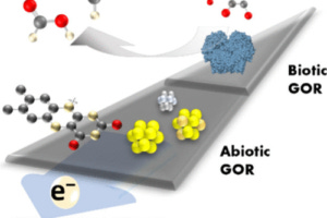 glucose battery infographic