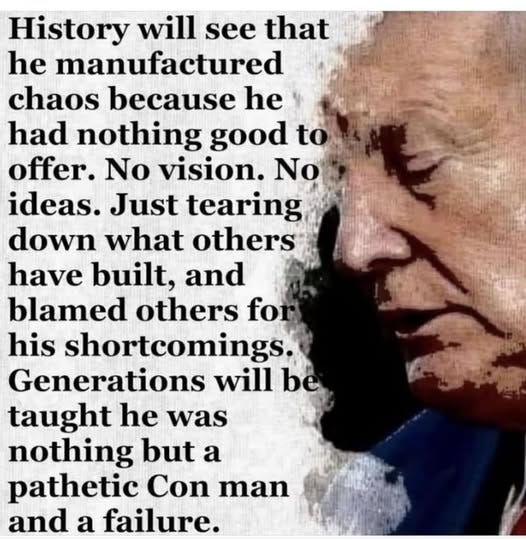 May be an image of 1 person and text that says 'History will see that he manufactured chaos because he had nothing good to offer. No vision. No ideas. Just tearing down what others have built, and blamed others for his shortcomings. Generations will be taught he was nothing but a pathetic Con man and a failure.'