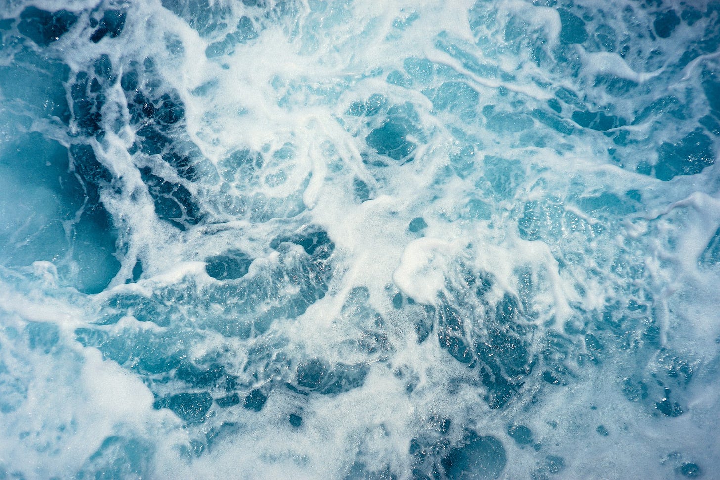 Episode 148: Water Element with Dr. Tamsin Lee — Holistic Spaces