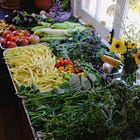 I don't gatekeep: fall seeds in my cart