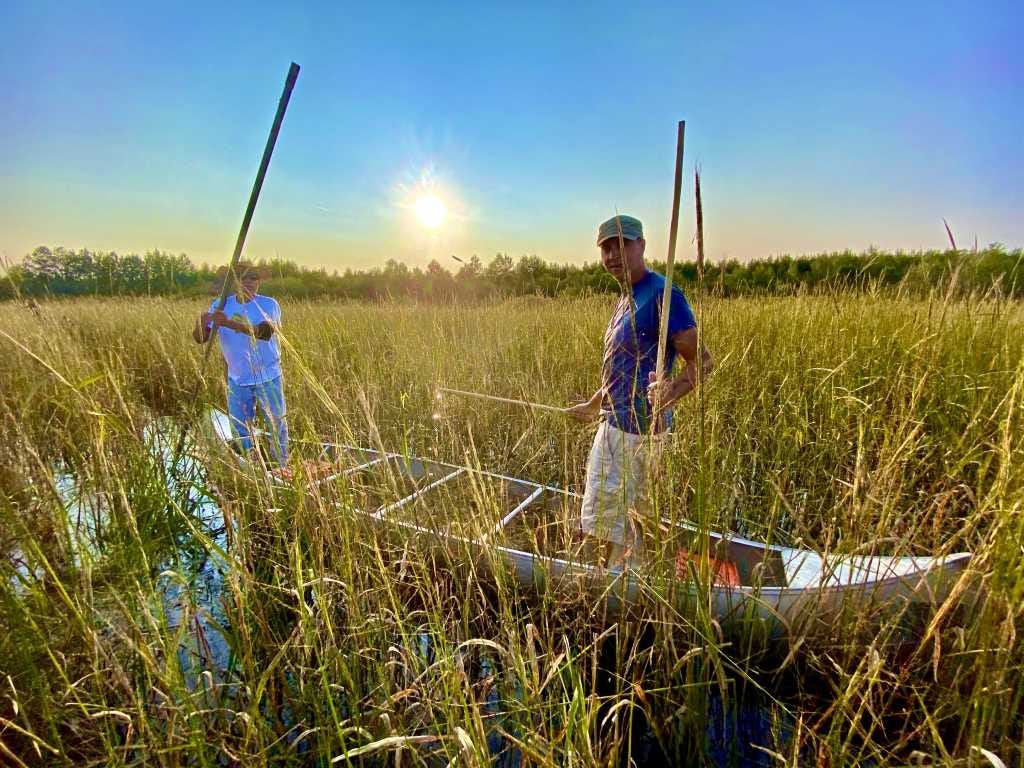 Wild Rice – The Grain of the Great Lakes – DelicioUS! Wild Rice – The Grain of the Great Lakes – DelicioUS!