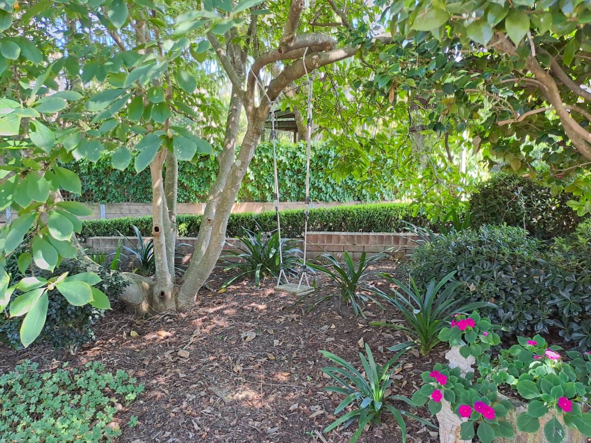 Jo Heeps beautiful front garden that is being nurtured by her compost.