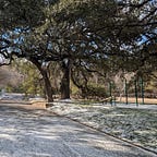 陳又津電波頻道