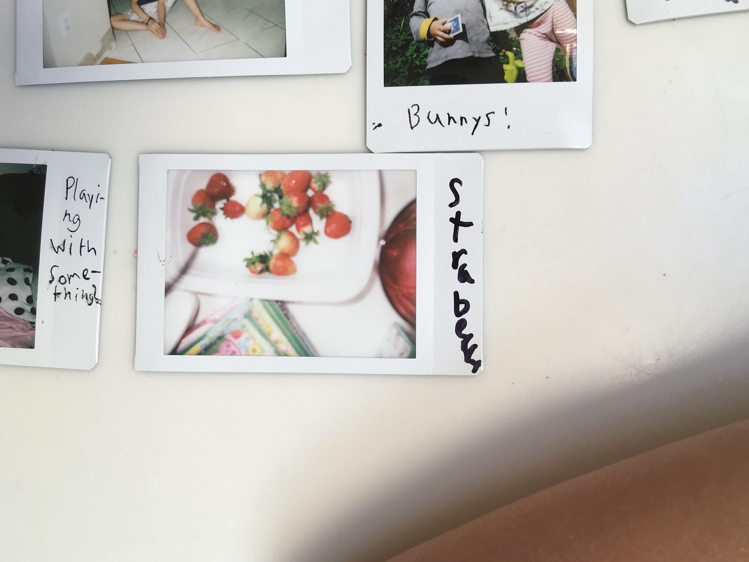 IMG_0732.jpg IMG_0732.jpg