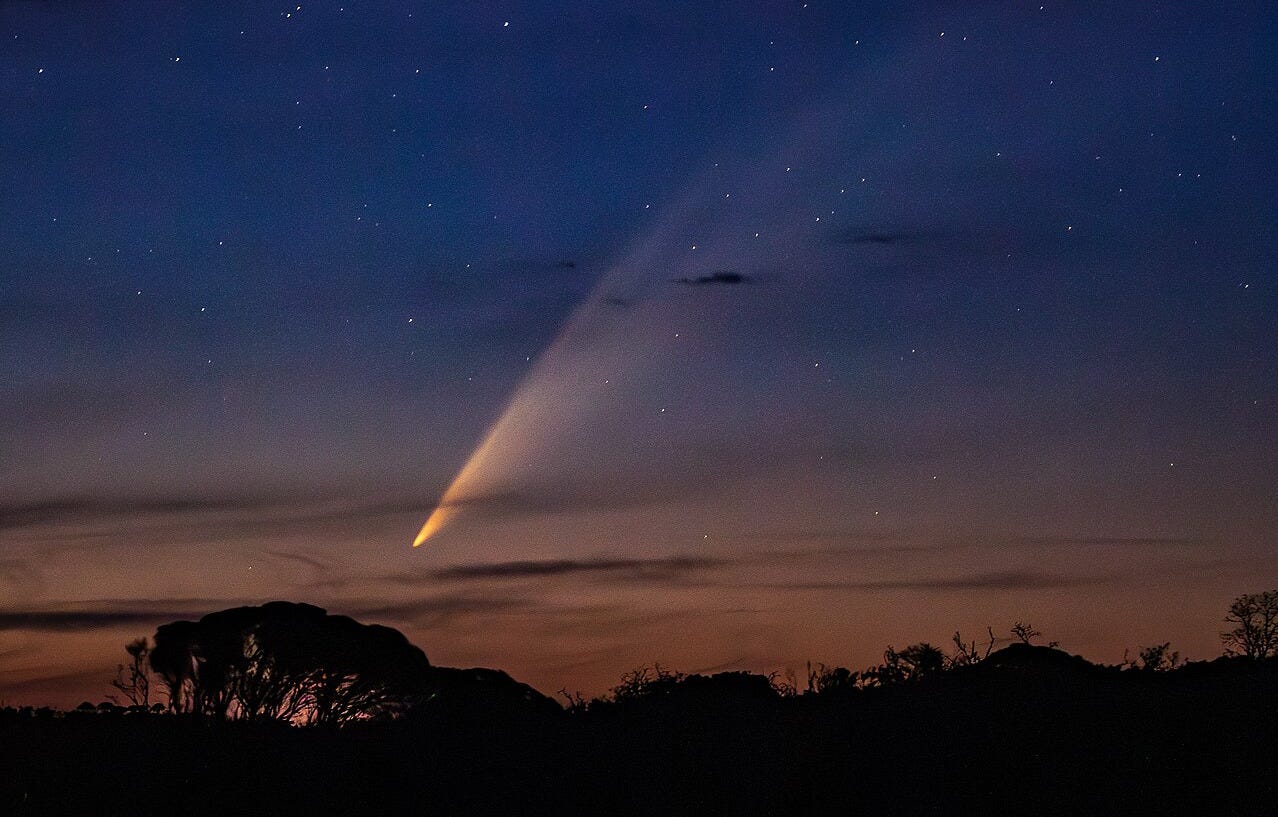 On 21 January from Mallacoota, Australia.