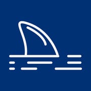 The Diversified Fins Analyst