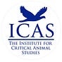 ICAS's avatar