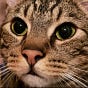 Tracy Pitts's avatar