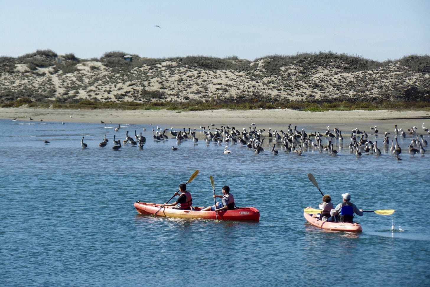 Escape to California's quaint Moss Landing for a family weekend filled with kayaking and fresh ...