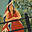 Donna Rachel's avatar