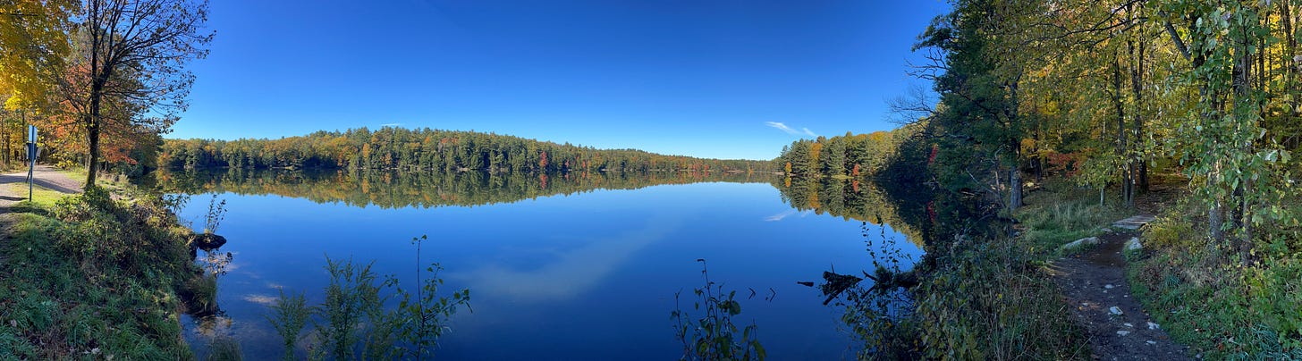 Panoramic view of a lake with glassy reflection of wooded hills under blue skies..
