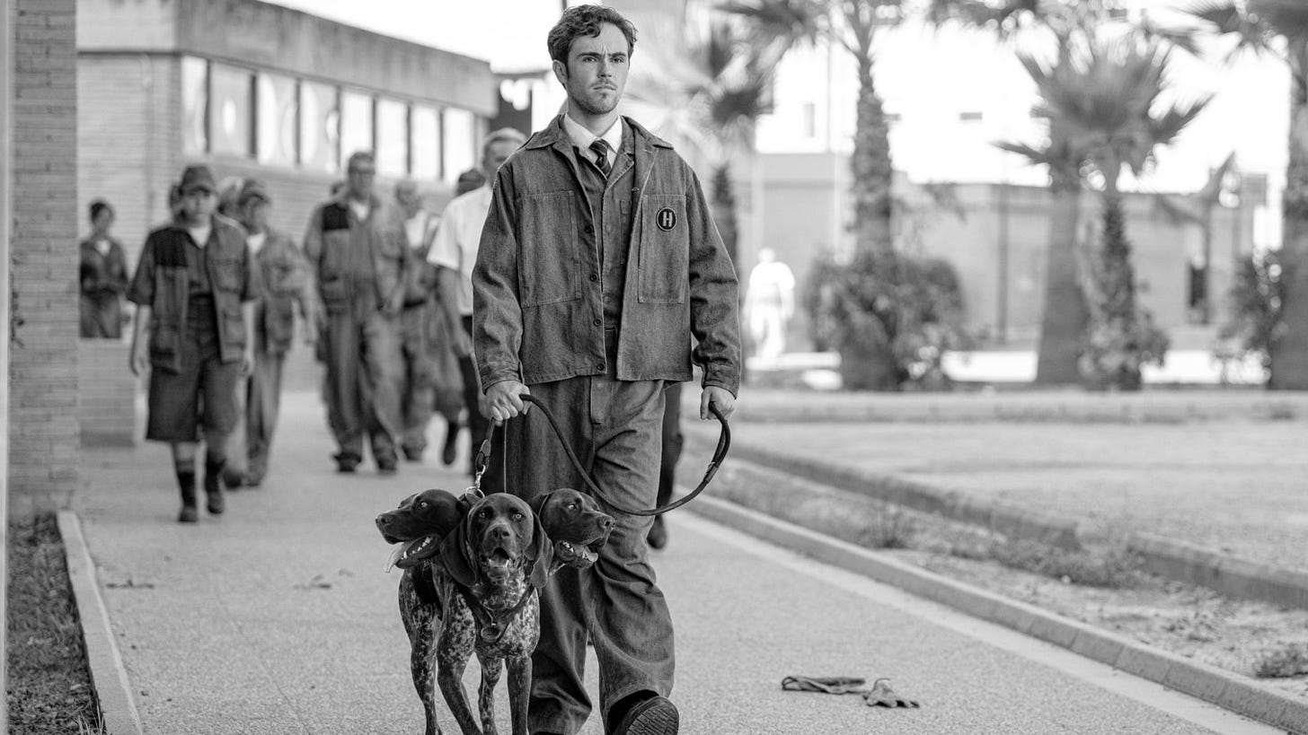 Misia Butler discusses trans-masc character in new Netflix series 'Kaos' |  Jake News