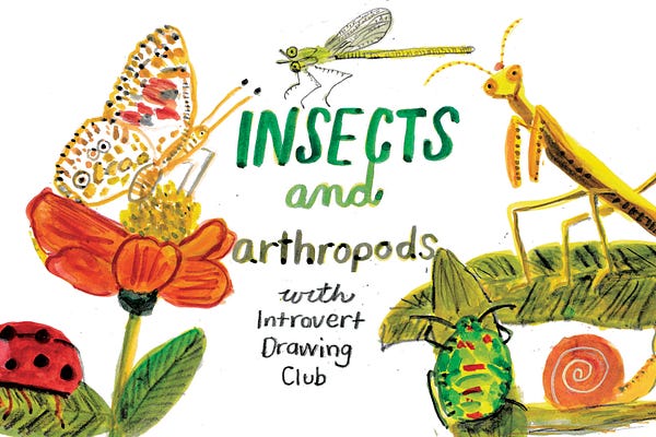Art Prompts | Introvert Drawing Club | Beth Spencer | Substack