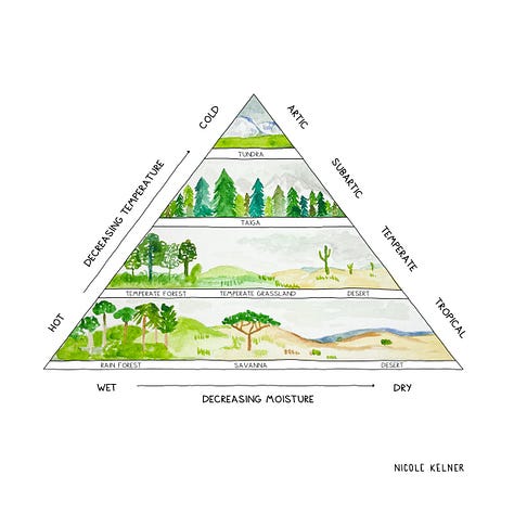 Nicole Kelner's Climate Art