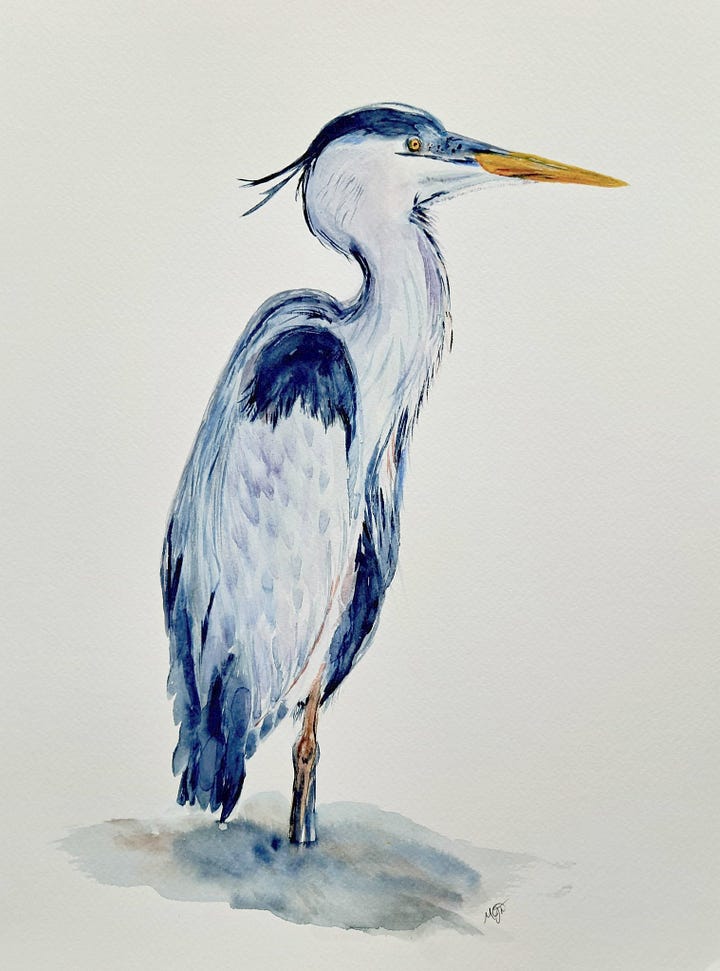Blue Heron watercolor, Magnolia in acrylic, Orchid in my garden, In my studio