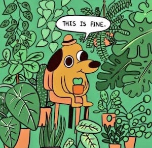 it is fine! it is fine!